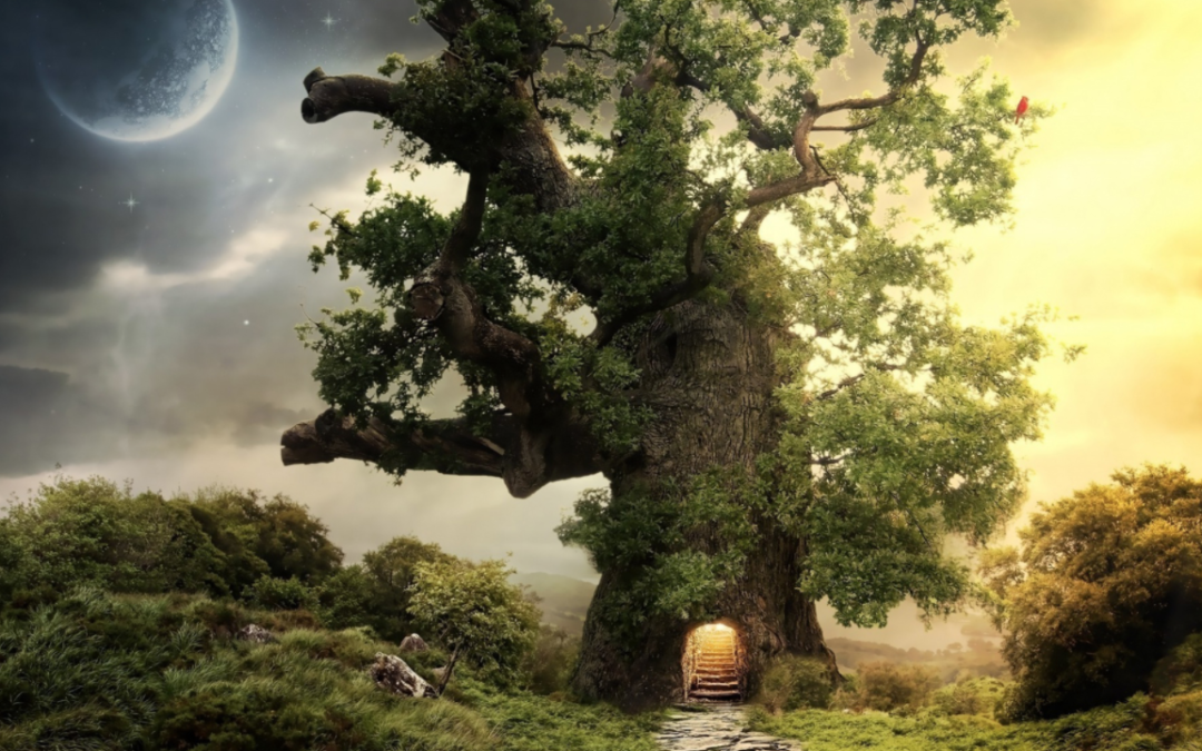 The Power of the Real (World Building 102)