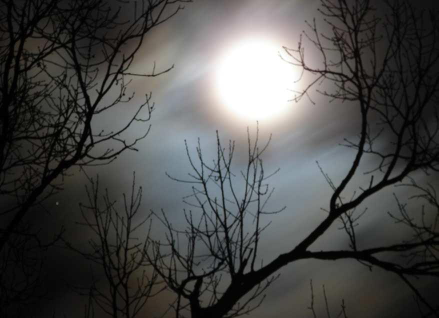Seven Years In – Vignette #1 of The Ghost Lords